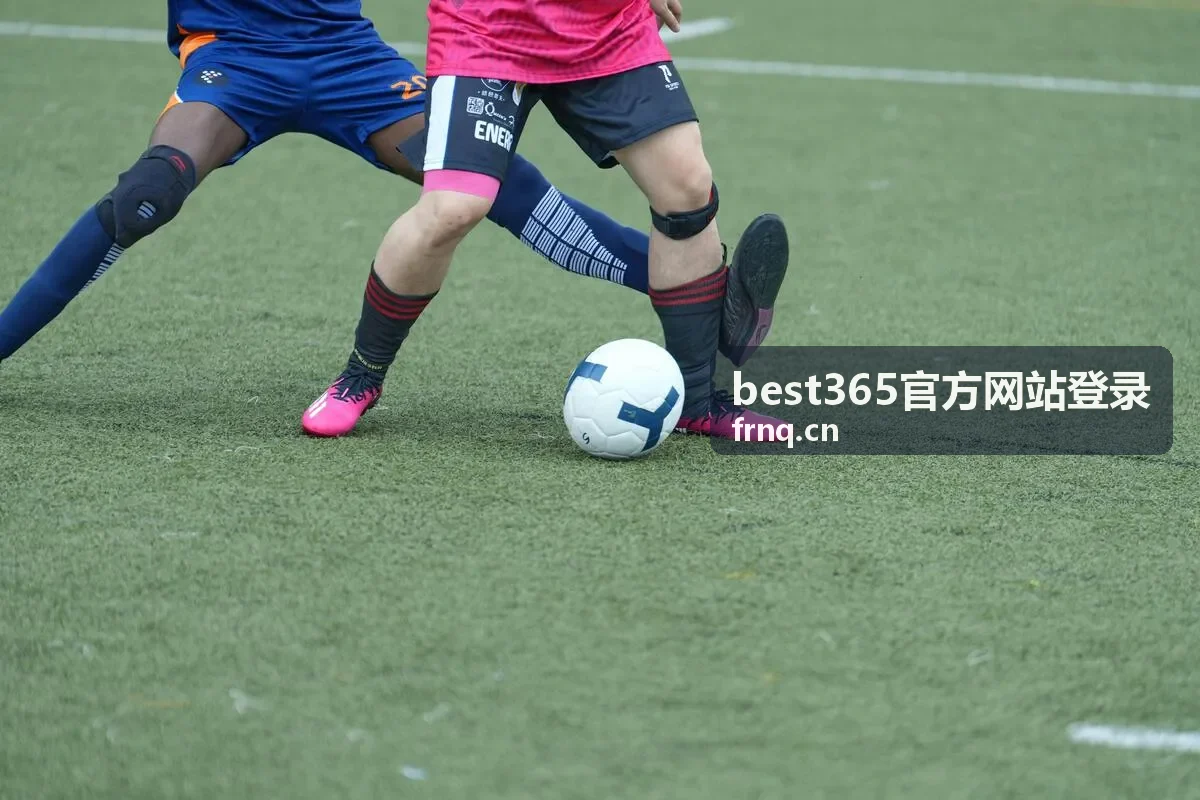best365官方网站登录 回放：安全提示合集与验证习惯封面